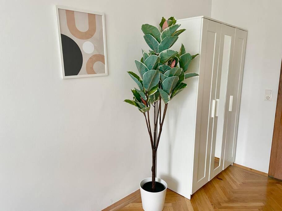 Apartment 110m2 Stylish 4 Bedroom Vienna